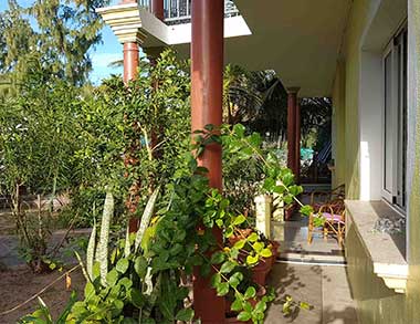 Jardin fleuri
