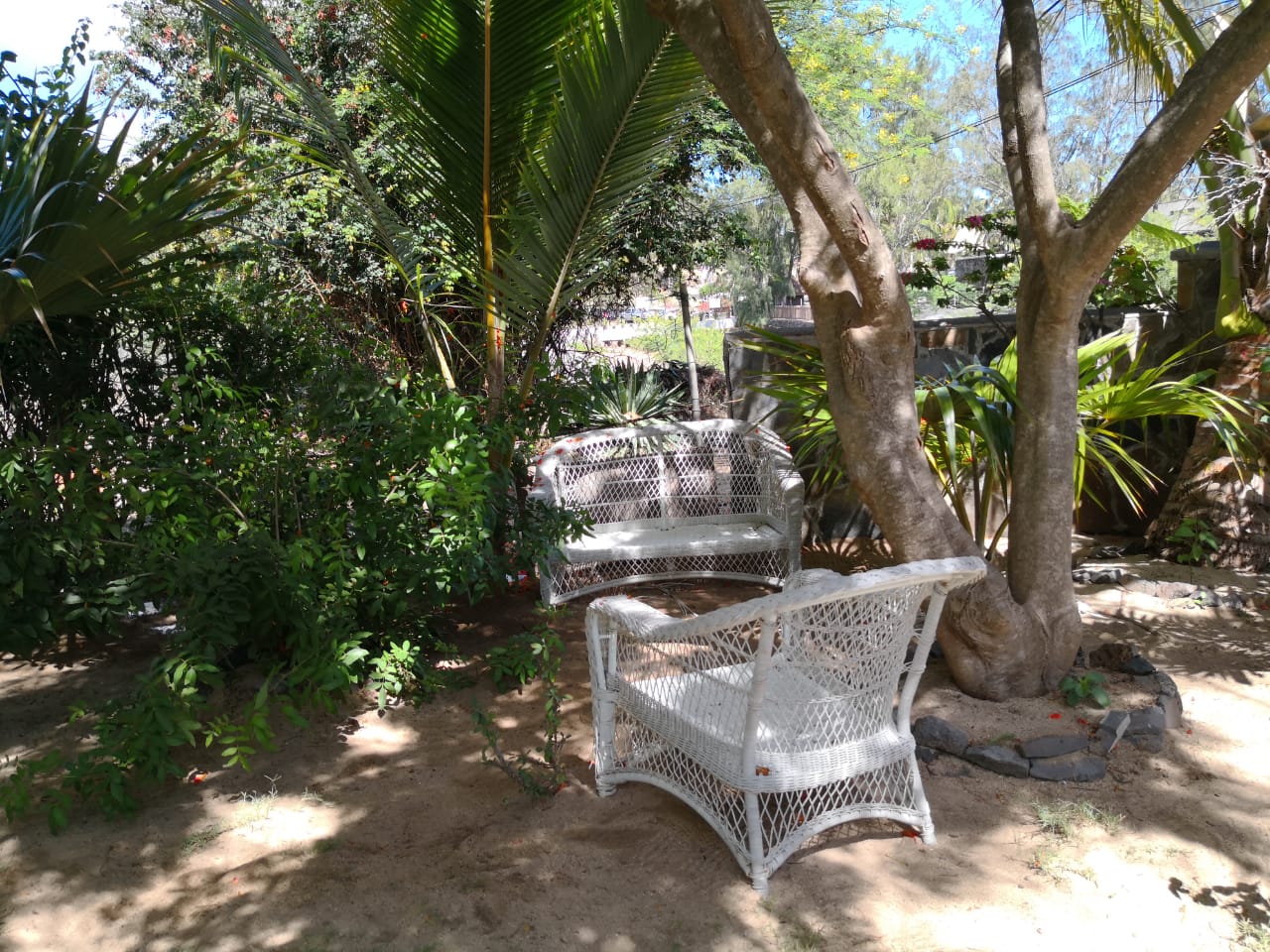 Espace détente jardin