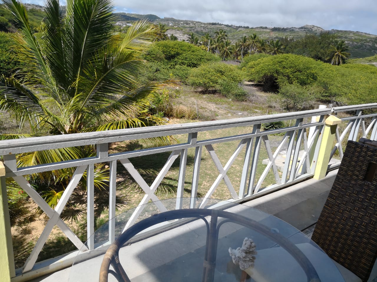 Room view of the hinterland