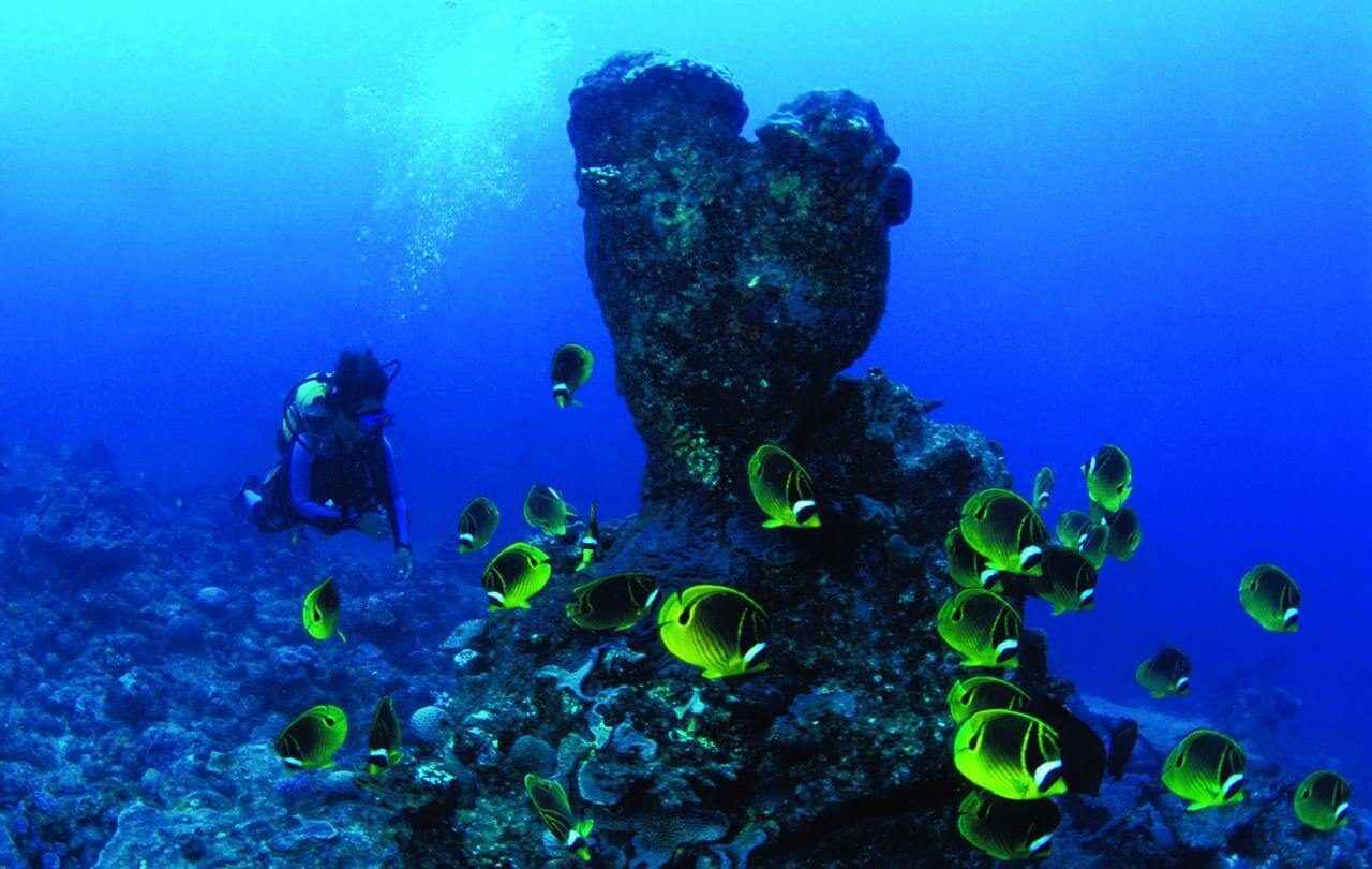 Plongée en apnée et plongée sous-marine